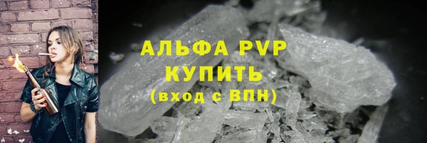 индика Медногорск