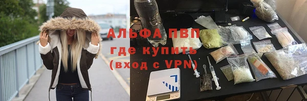 молекула духа Медвежьегорск