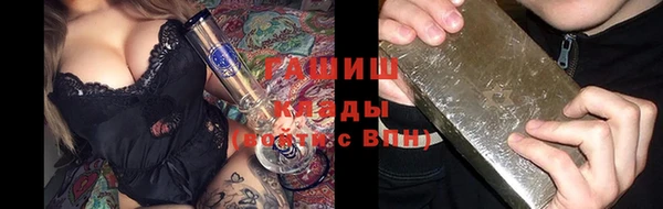индика Медногорск