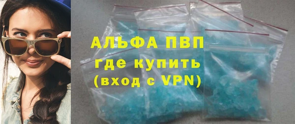 индика Медногорск
