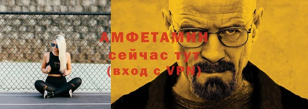 индика Медногорск