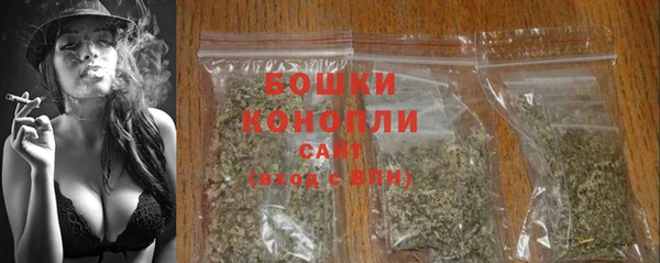 молекула духа Медвежьегорск