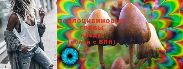 шишки Верея