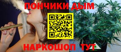 apvp Гагарин