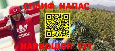 хмурый Гатчина