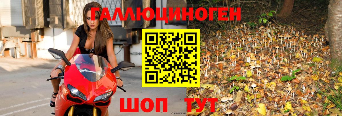 Галлюциногенные грибы мицелий  Галлюциногенные грибы GOLDEN TEACHER  Каспийск 