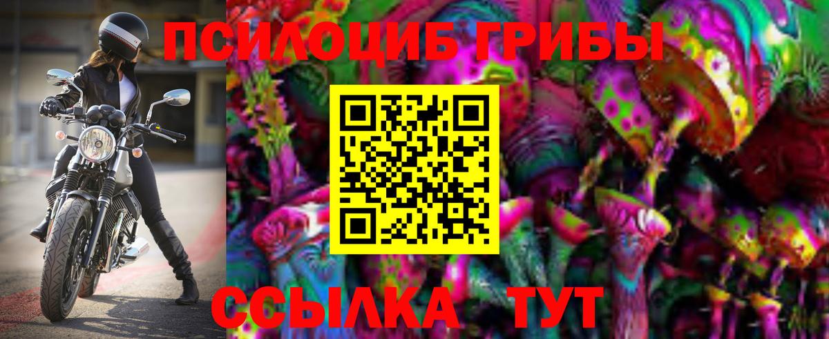 Каспийск  Псилоцибиновые грибы Psilocybine cubensis  Вход с VPN  Галлюциногенные грибы Cubensis 