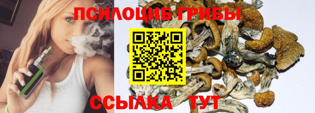 Галлюциногенные грибы мицелий Каспийск
