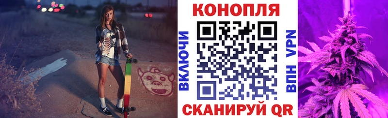купить   Каспийск  Канабис семена 